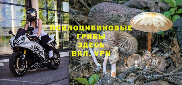 спайс Абдулино