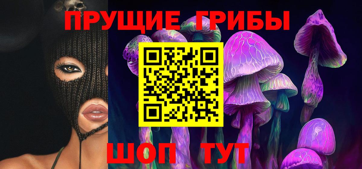 Галлюциногенные грибы GOLDEN TEACHER  Галлюциногенные грибы Magic Shrooms  Вход с VPN  где продают наркотики  Алапаевск 